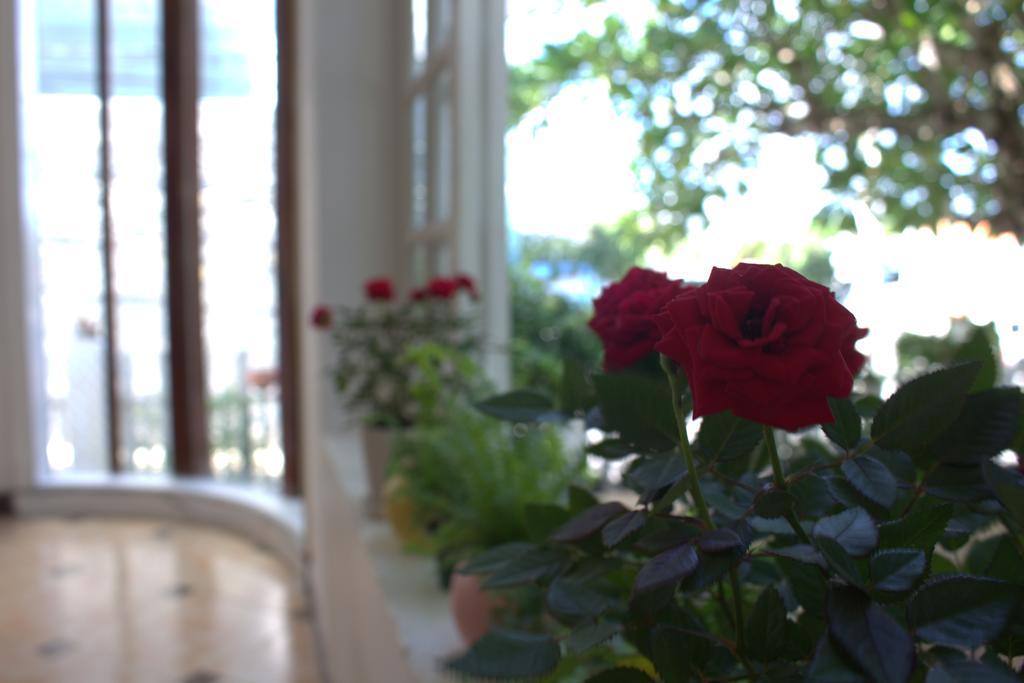Des Ami Villa Vung Tau Zewnętrze zdjęcie