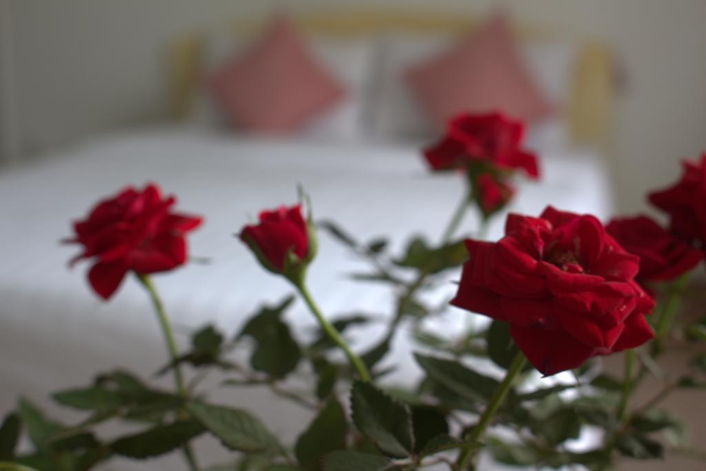Des Ami Villa Vung Tau Zewnętrze zdjęcie