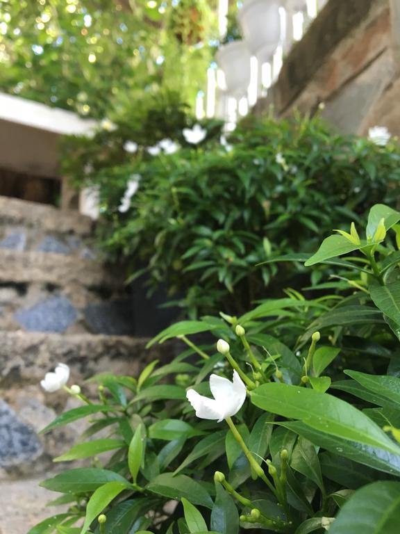 Des Ami Villa Vung Tau Zewnętrze zdjęcie