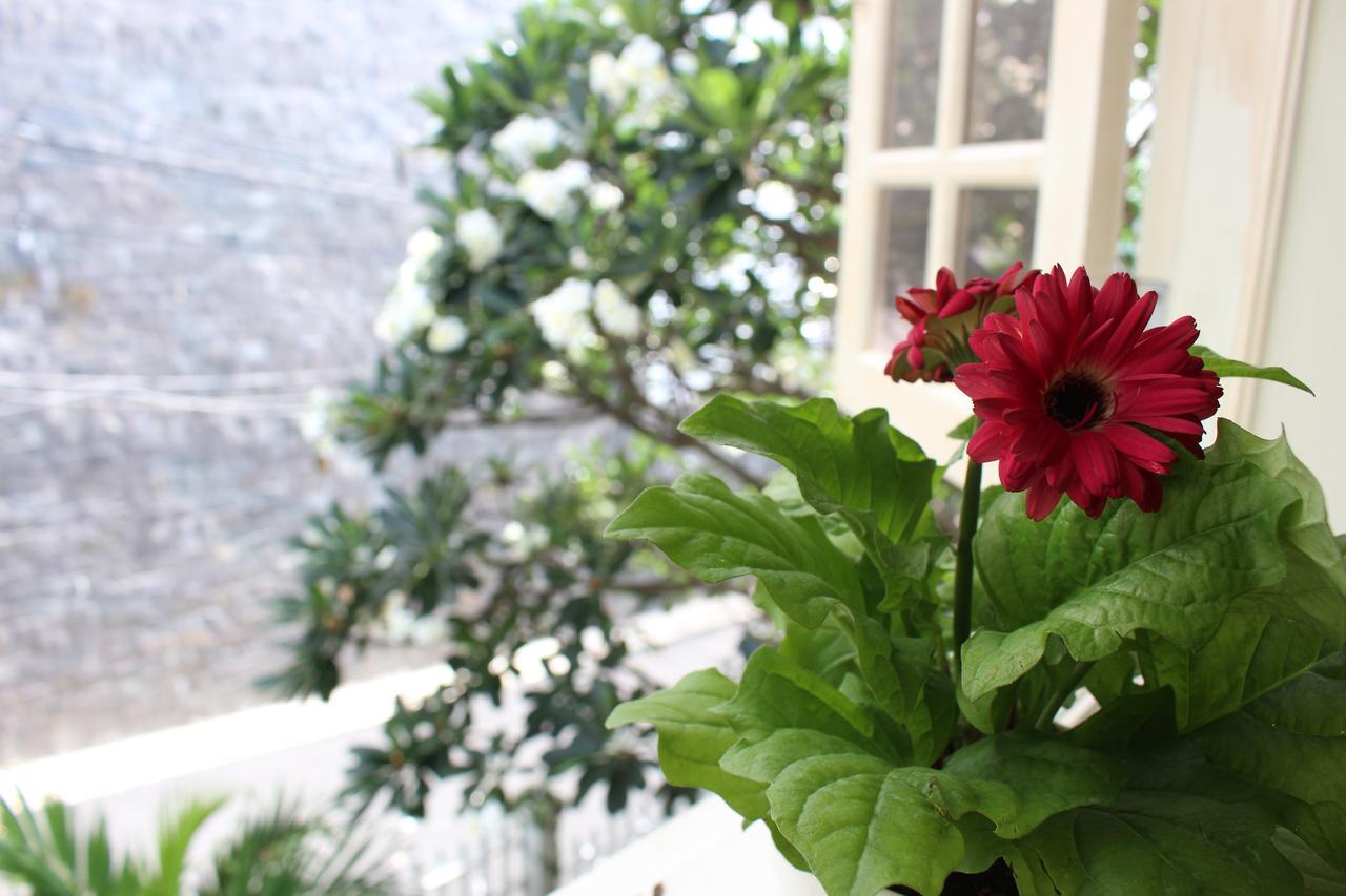 Des Ami Villa Vung Tau Zewnętrze zdjęcie