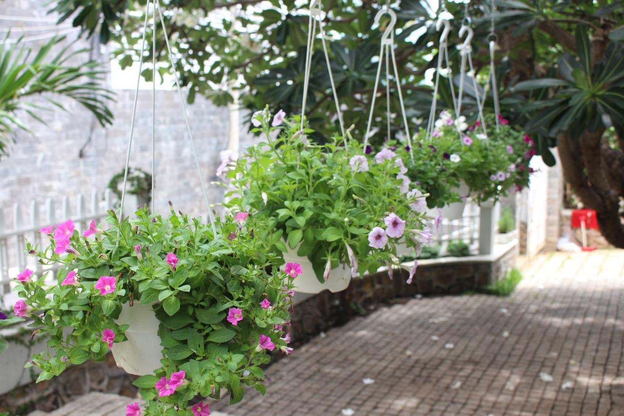 Des Ami Villa Vung Tau Zewnętrze zdjęcie